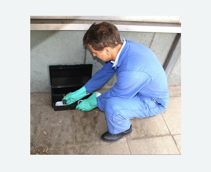 Уничтожение мышей в Среднеколымске Уничтожение мышей