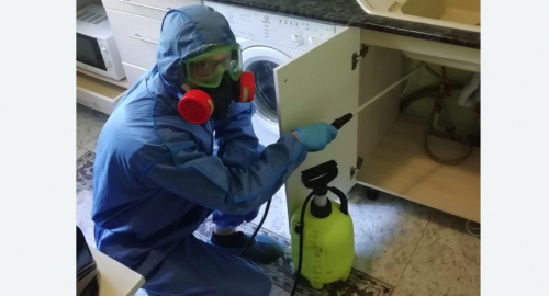 Уничтожение муравьев в квартире. Среднеколымск