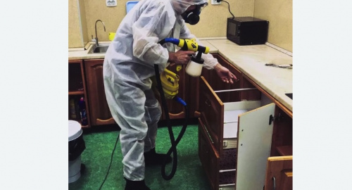 Уничтожение насекомых в квартире. Среднеколымск