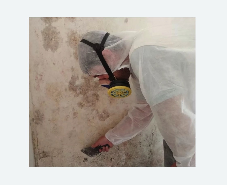 Обработка стен от плесени в Среднеколымске