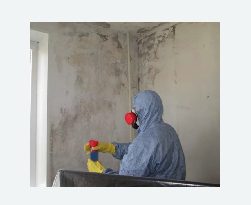 Удаление плесени в квартире в Среднеколымске