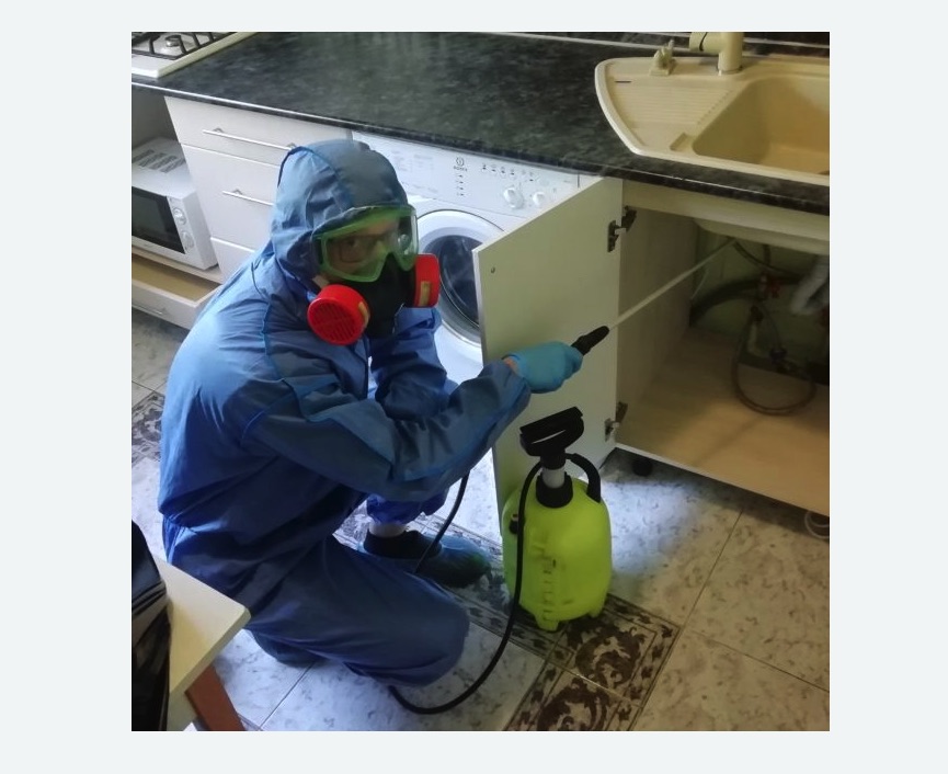 обработка от муравьев в квартире в Среднеколымске